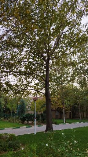 عکس بوستان گلاب