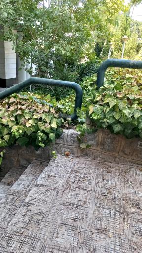 عکس تالار بانک سپه