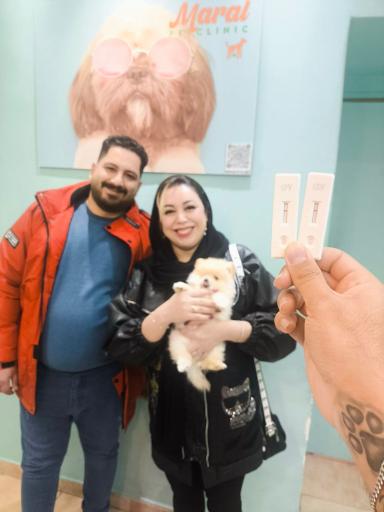 عکس پت شاپ و فروشگاه سگ فانتزی 