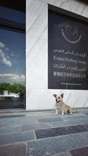 عکس سنگ کاموس