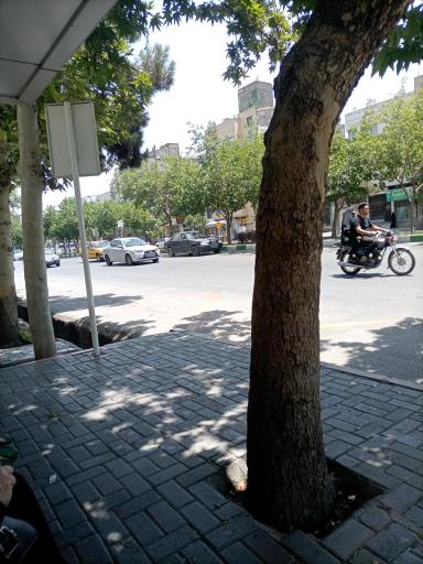 عکس  ابوطالب 62