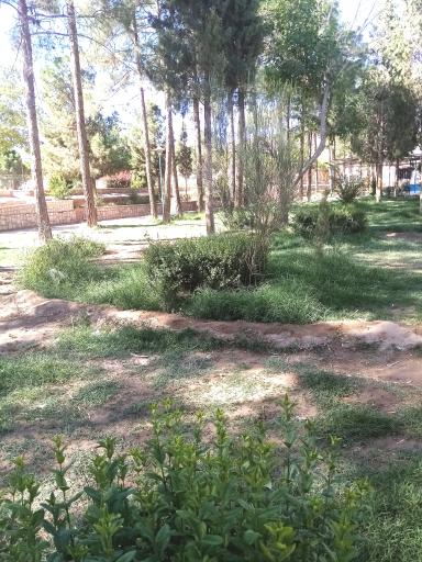 عکس پارک شهر