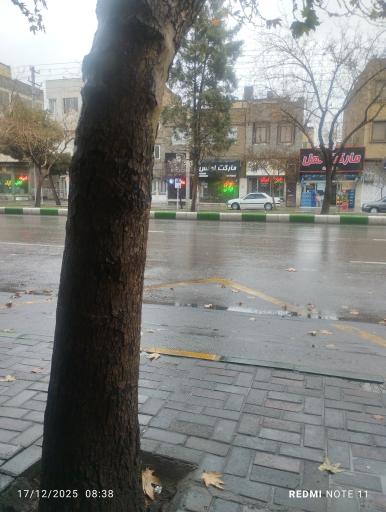 عکس  ابوطالب 62