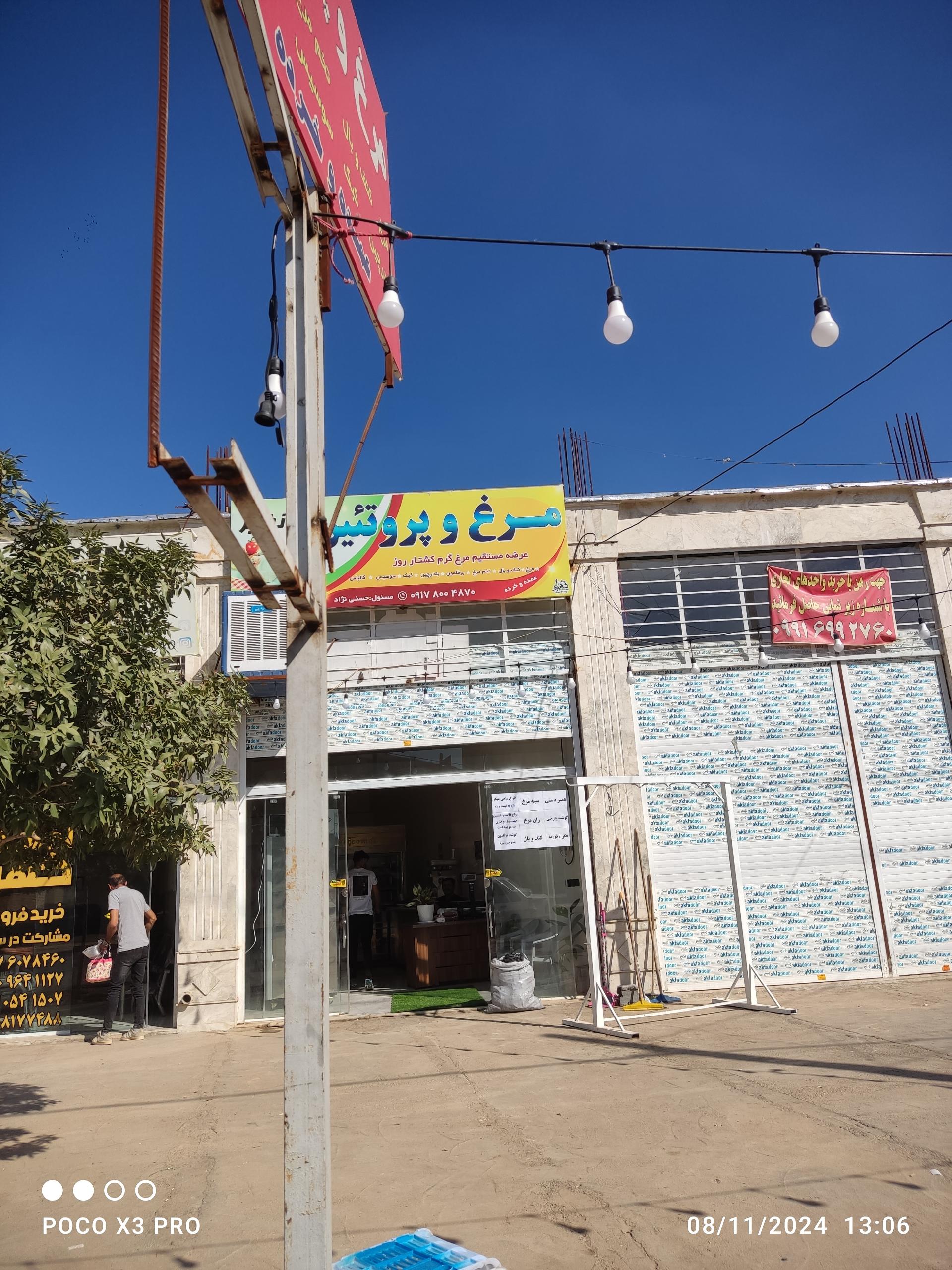 عکس مرغ و پروتئین رضائی