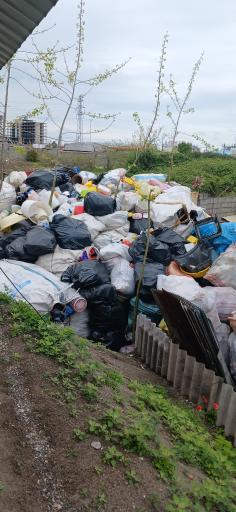 عکس آسیاب سبد طاها پلاست 