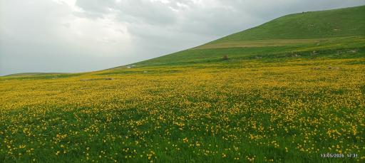 عکس سردابه