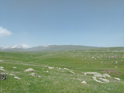 عکس سردابه