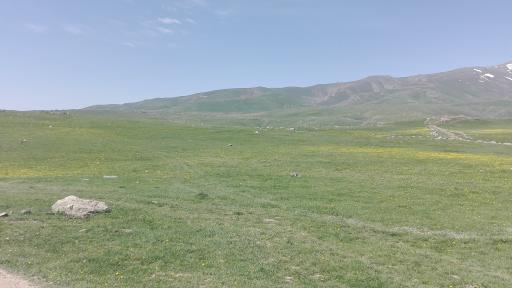عکس سردابه