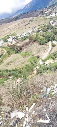 عکس سردابه