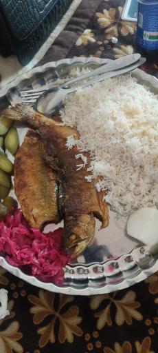 عکس غذاخوری و کته کباب نارنج و ترنج