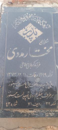 عکس مزار مختار مددی