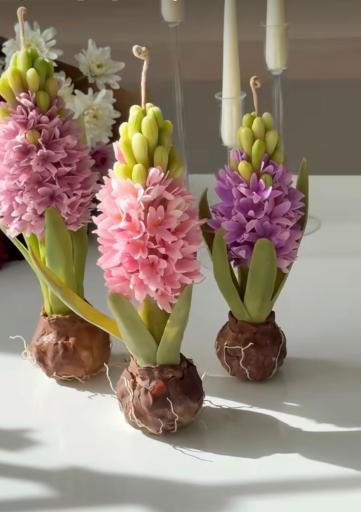 عکس لوازم خانه آشپزخانه لبخند 