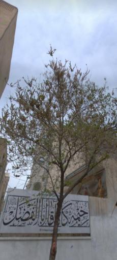 عکس خیمه گاه آقا ابالفضل