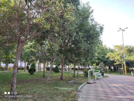 عکس پارک نسترن