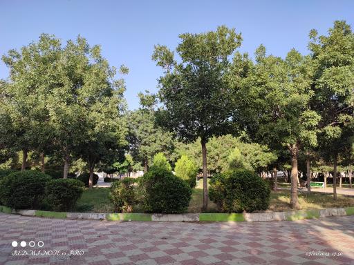 عکس پارک نسترن