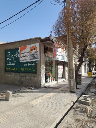 پت شاپ تیمو