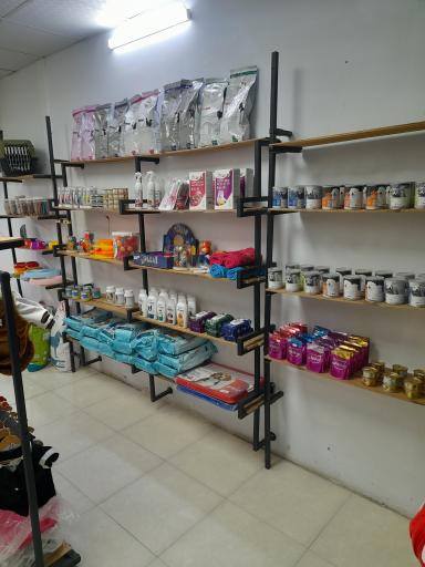 پت شاپ تیمو