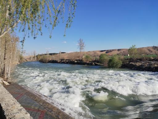 عکس بابا شیخ علی