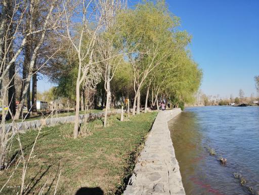 عکس بابا شیخ علی