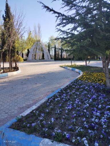 عکس بابا شیخ علی