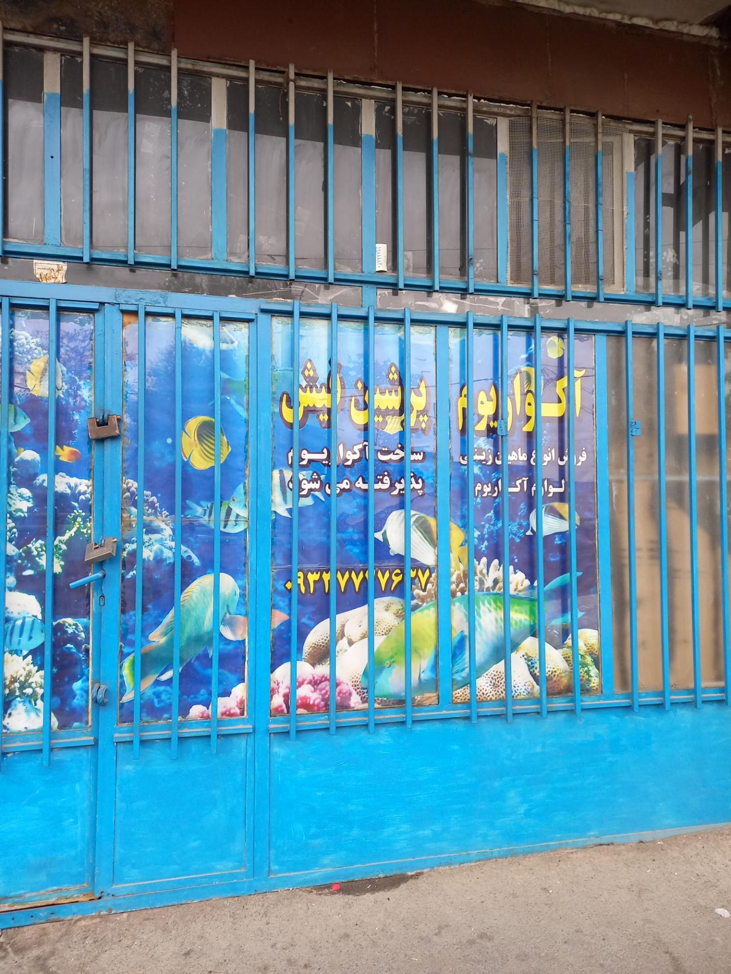 عکس آکواریوم پرشین فیش