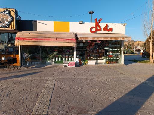 عکس گل فروشی مه گل