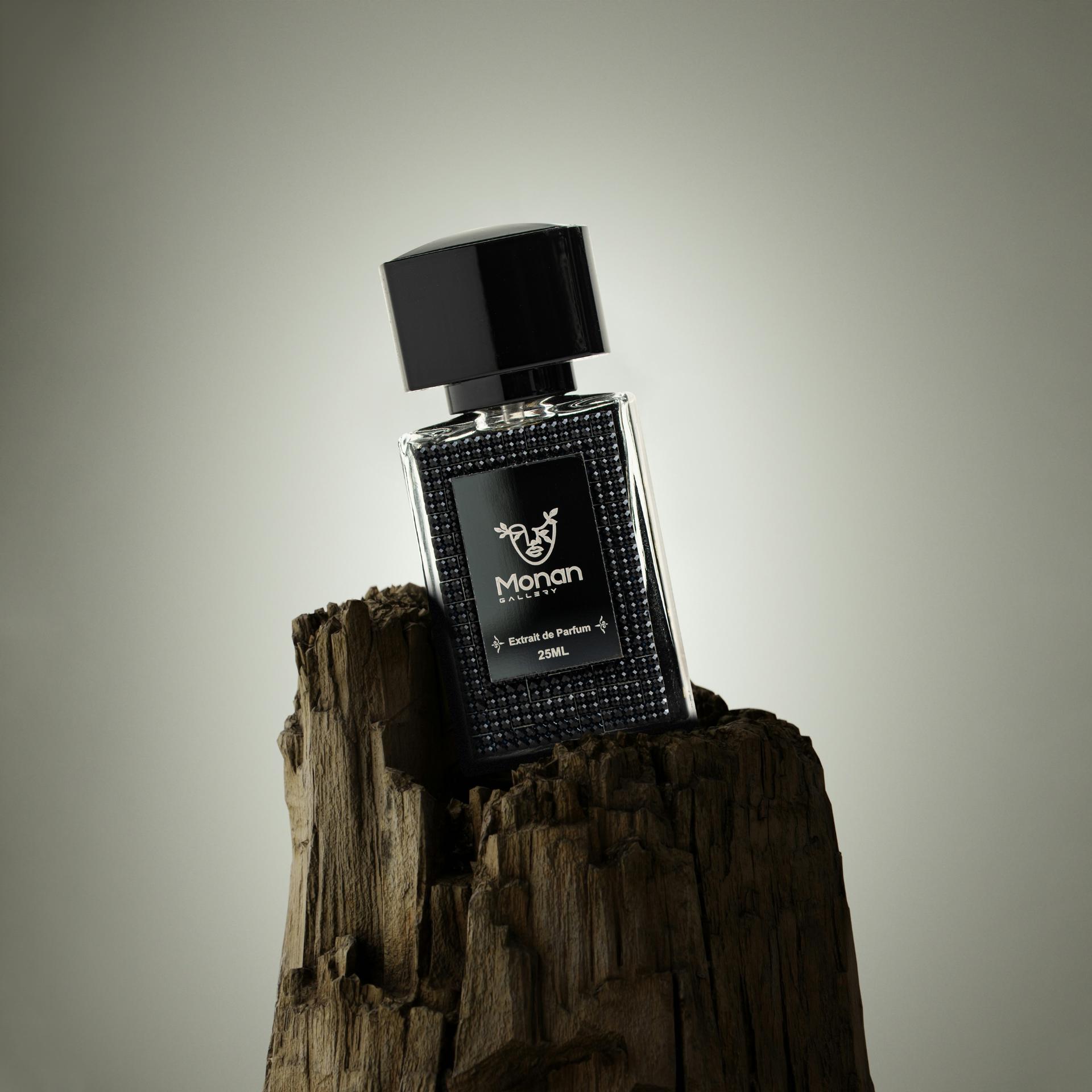 عکس مونان گالری 