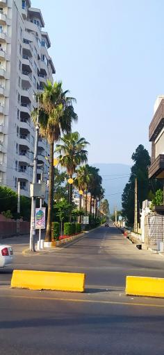 عکس سلمان شهر