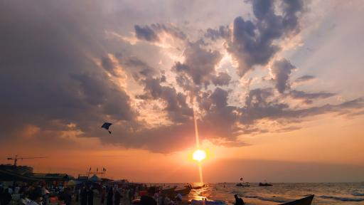 عکس سلمان شهر