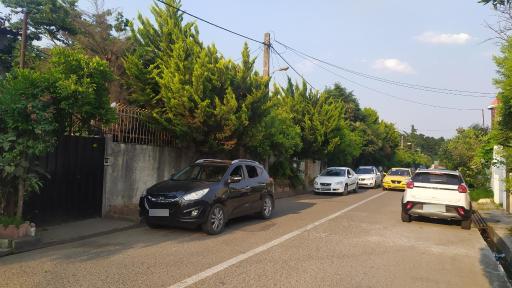 عکس سلمان شهر