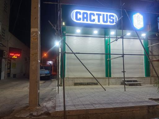 کاکتوس