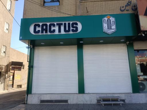 کاکتوس