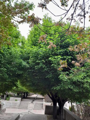 عکس پارک ولیعصر