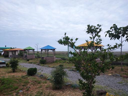 عکس مجتمع سپیدکنار متین