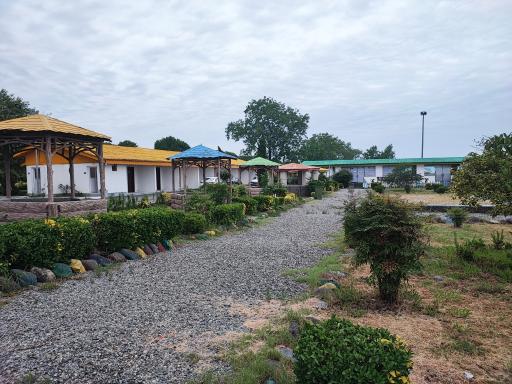 عکس مجتمع سپیدکنار متین