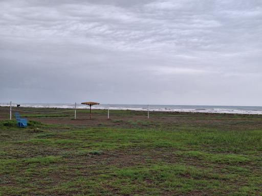 عکس مجتمع سپیدکنار متین