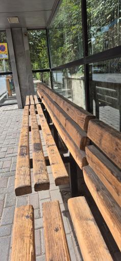 عکس  شهید فرامرز عباسی 48