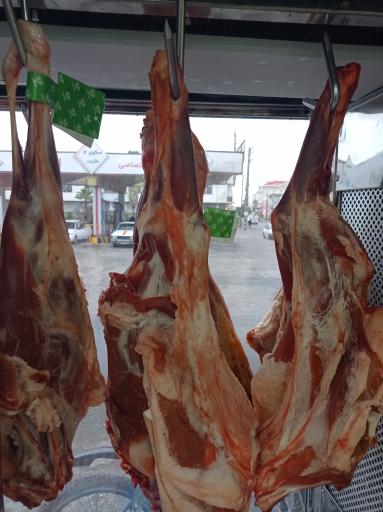 عکس سوپرگوشت پویا