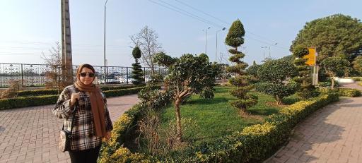 عکس مجتمع سپیدکنار متین