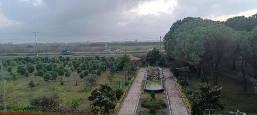 عکس مجتمع سپیدکنار متین