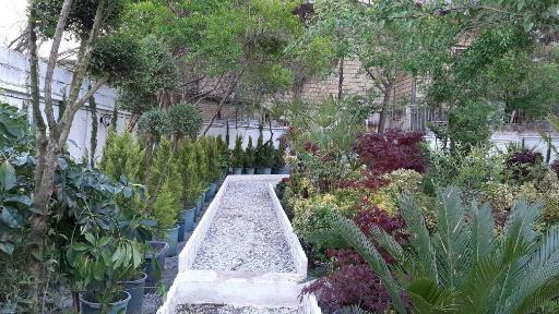 عکس گلخانه و باغ نسترن کرمانشاه