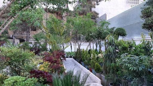 عکس گلخانه و باغ نسترن کرمانشاه