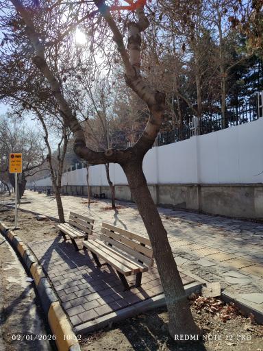 عکس ابتدای ولی عصر