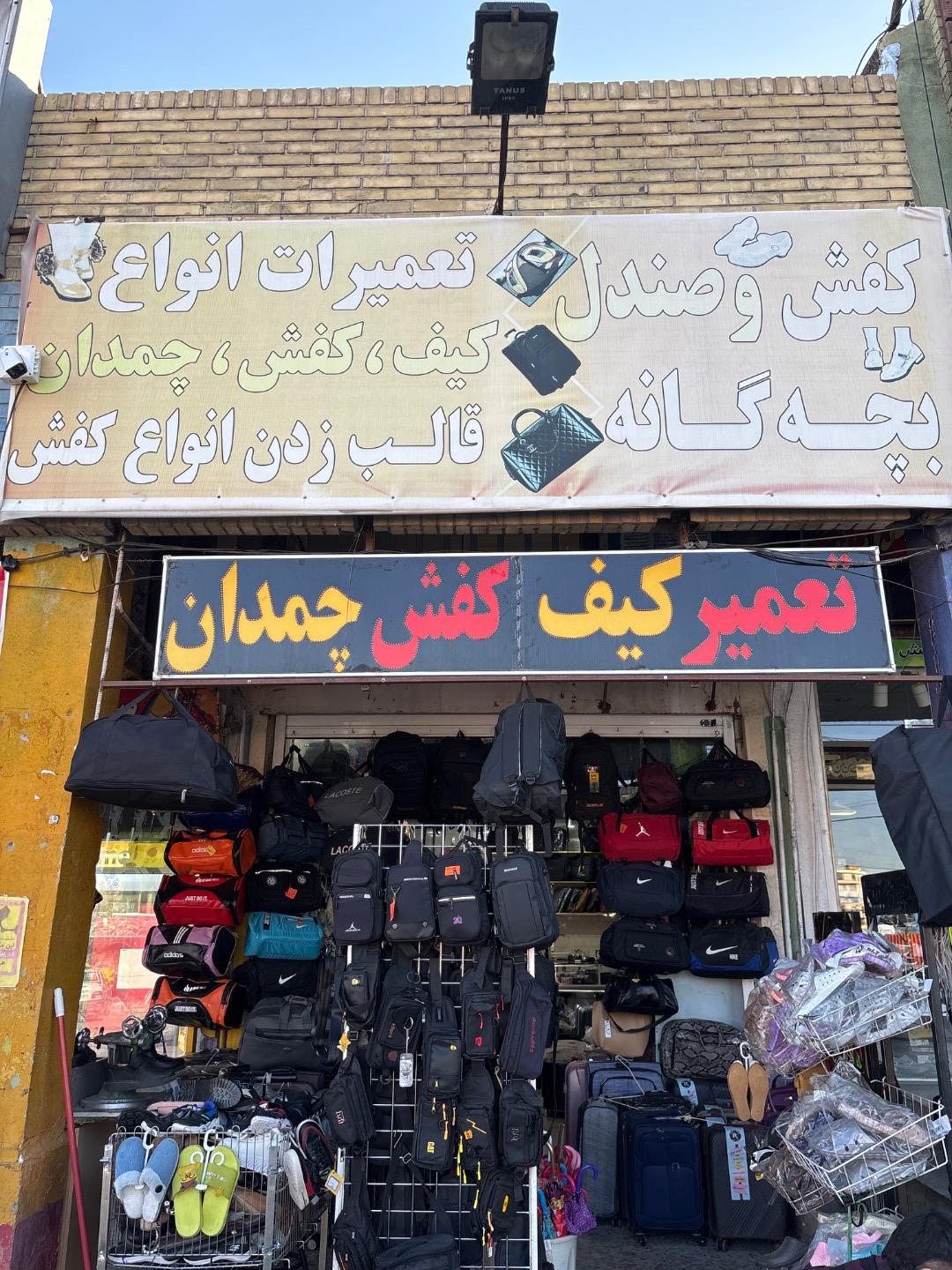 عکس سراجی ریاحی