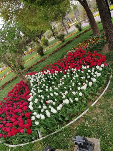 عکس درب ورودی باغ گل ها