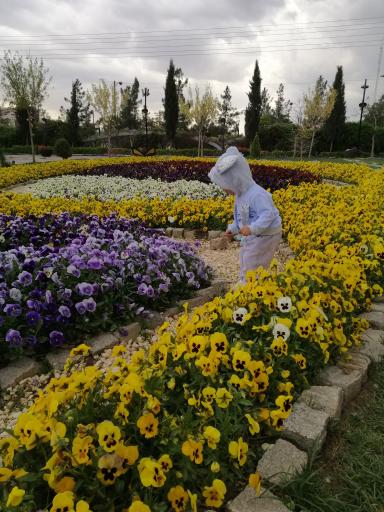 عکس درب ورودی باغ گل ها