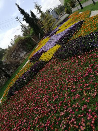 عکس درب ورودی باغ گل ها