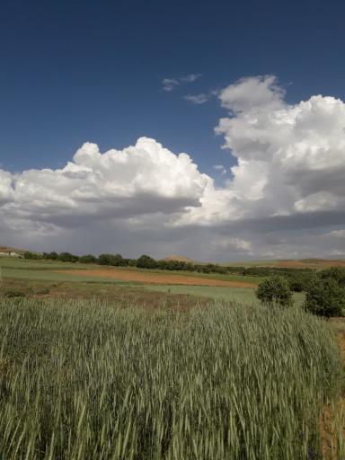 عکس کوشکی سفلی