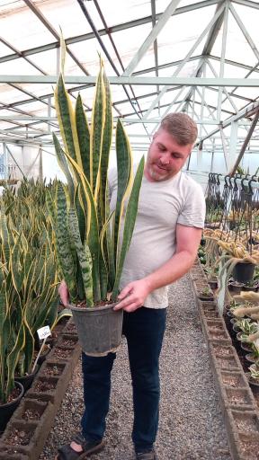 عکس فروشگاه آس گل 