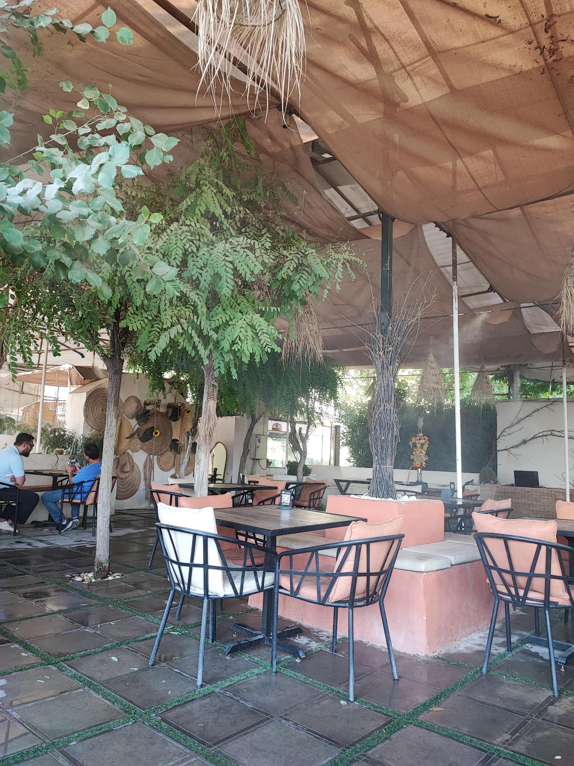 عکس کافه رستوران مت کامپلکس